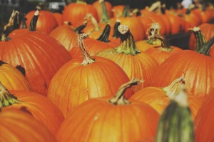 pumpkin